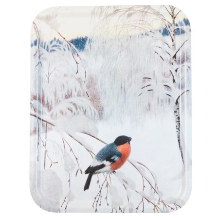 Lite brett - Vintermorgen