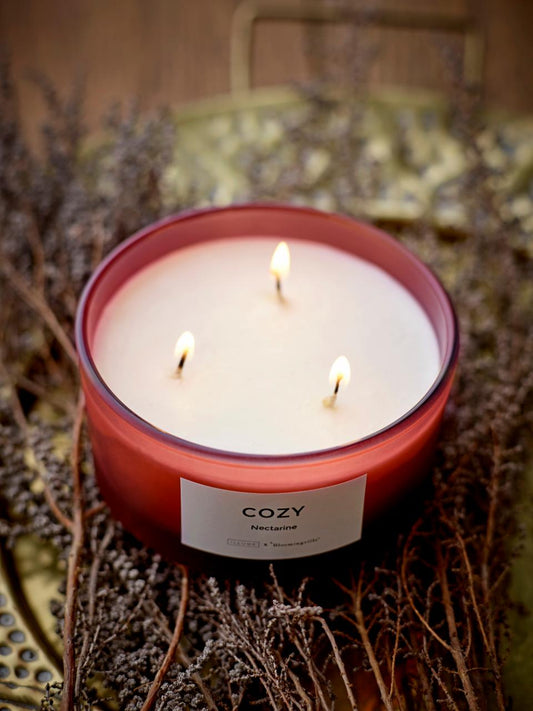 Cozy duftlys - nektarin og mørk plomme